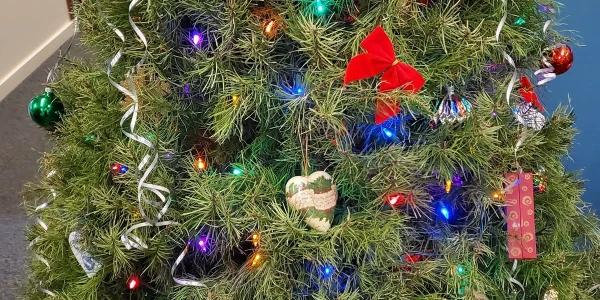 Marin Treatment Center