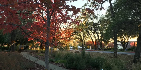 Chapa de Indian Health - Substance Abuse