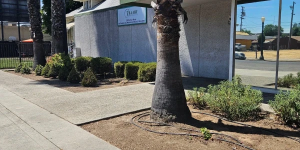 BAART Programs - Van Ness