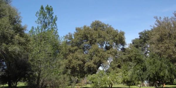 San Diego Freedom Ranch