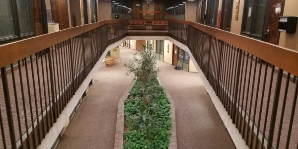 BHS - High Gain Drinking Driver Program