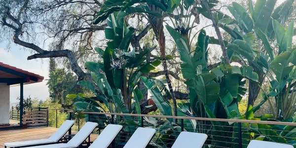 Discovery Mood & Anxiety Program - Vista