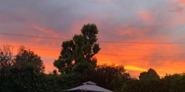 Iris Healing - Residential