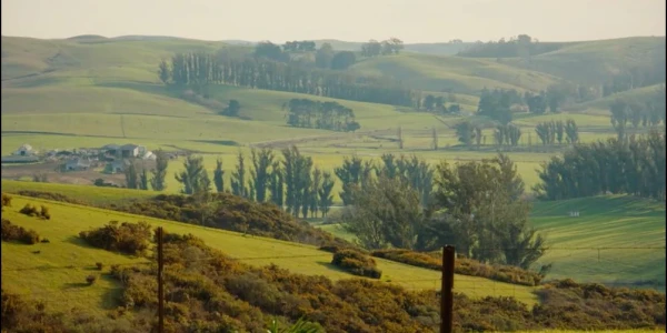 Sonoma Recovery Services - Olympia House